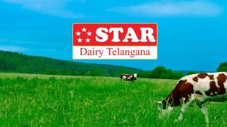 dairy supplier hyderabad Star Dairy Telangana