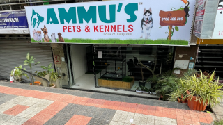 kennels hyderabad Ammu's Pets & Kennels