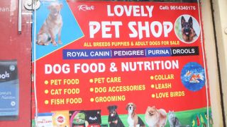 dog cafe hyderabad Lovely pet shop