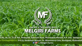 farm hyderabad Melgiri Farms