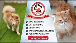 pet sitter hyderabad Furry Affair Pet Care - Boarding & Grooming for Dogs & Cats