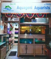 aquarium shops hyderabad Aquageni Aquarists