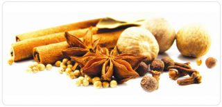 food processing company hyderabad Bimala Spices Food Industries Pvt Ltd