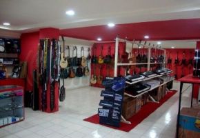 musical instrument repair shops hyderabad Servotronics