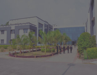 business school lucknow Shri Ram Murti Smarak International Business School in Lucknow (SRMS IBS)