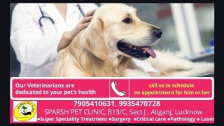 animal hospital lucknow SPARSH PET CLINIC