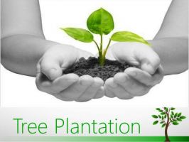 greenhouse lucknow Global India Bio-Plantech Pvt. Ltd