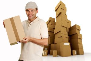 removals service lucknow Narayan Packers & Movers Pvt Ltd