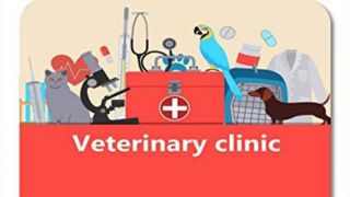 animal hospital lucknow City Pet Care Clinic Omaxe city Lucknow